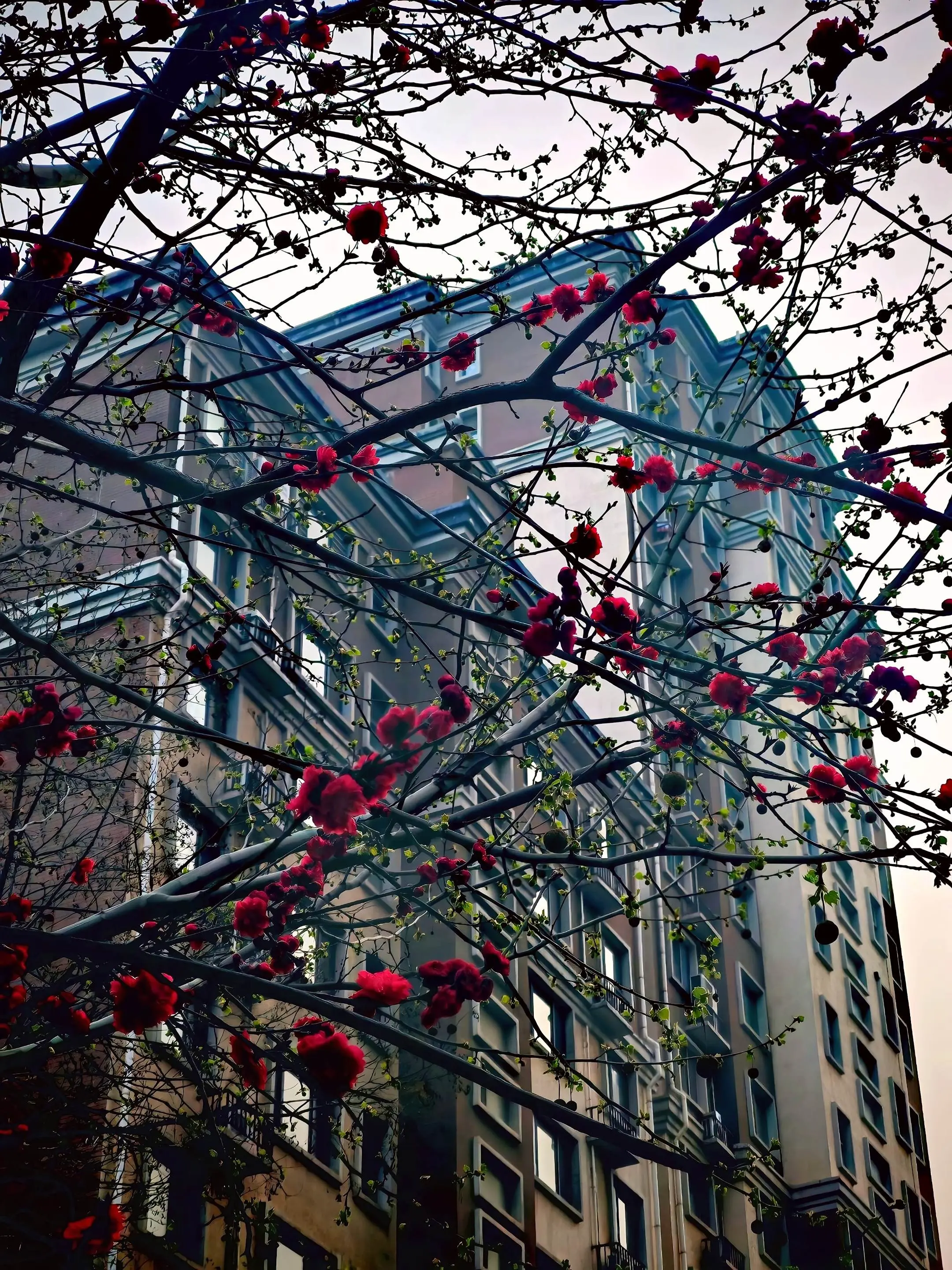 人生无常。人生无常，下一秒是惊喜还是意外？🌪️   珍惜当下，因为每...