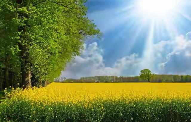 有人说，幸福是银行卡里的数字；有人说，幸福是朋友圈的点赞；还有人说，幸福是深夜加