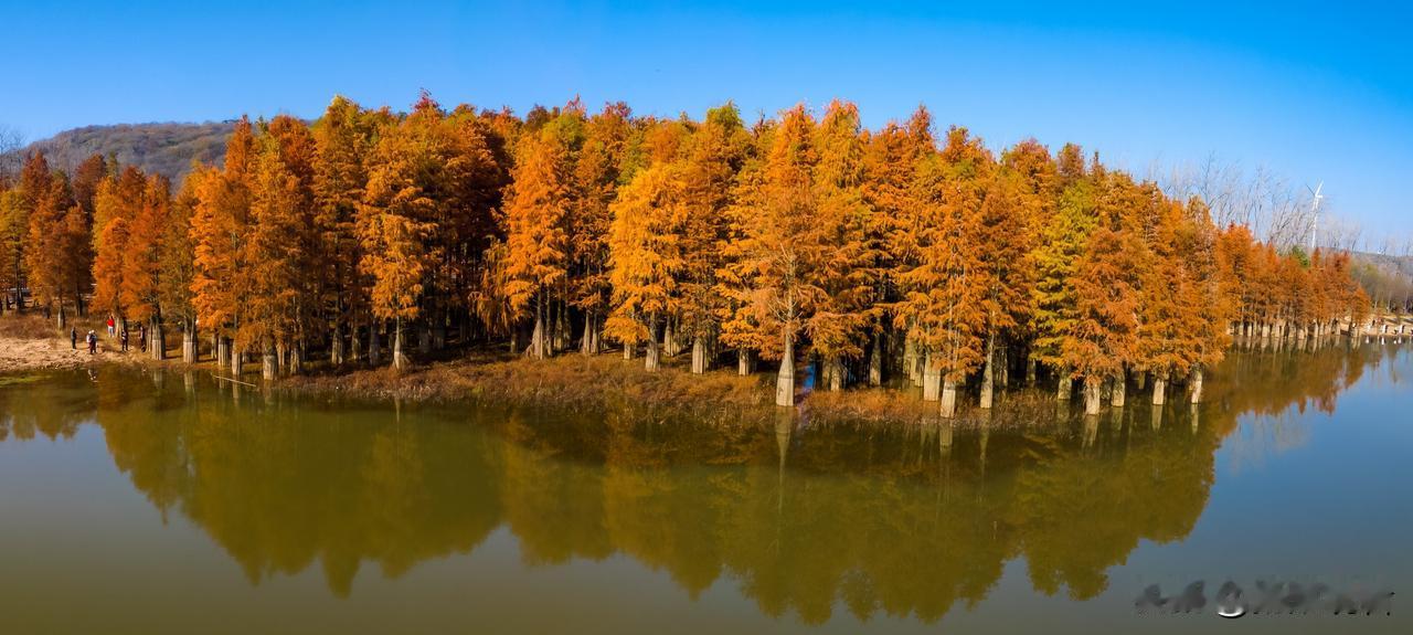 新年新气象，新年有吉祥！