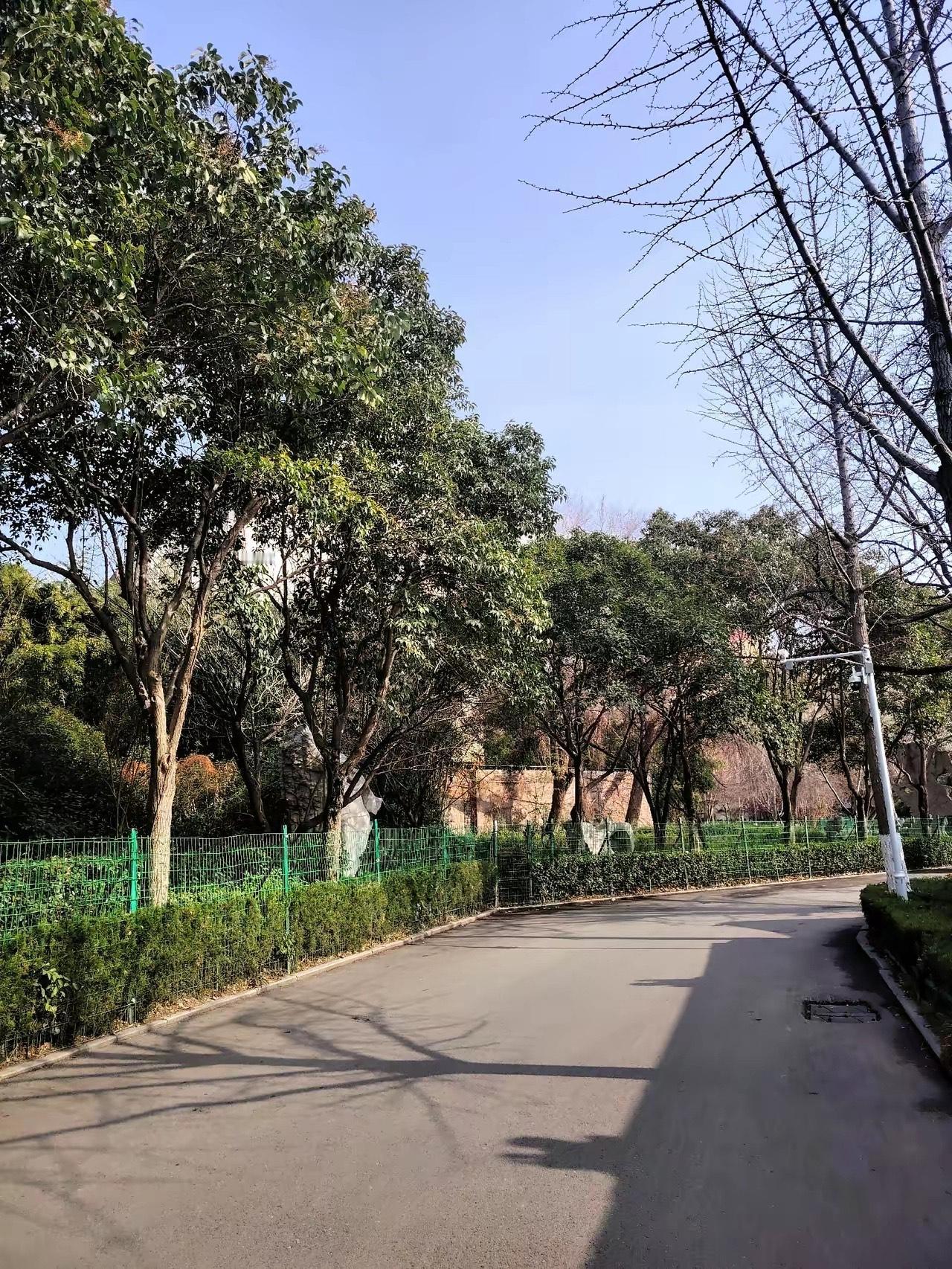 同期搭班、先后落马，这就是反腐最硬的道理：莫伸手，伸手必被捉。

4月9日，日照