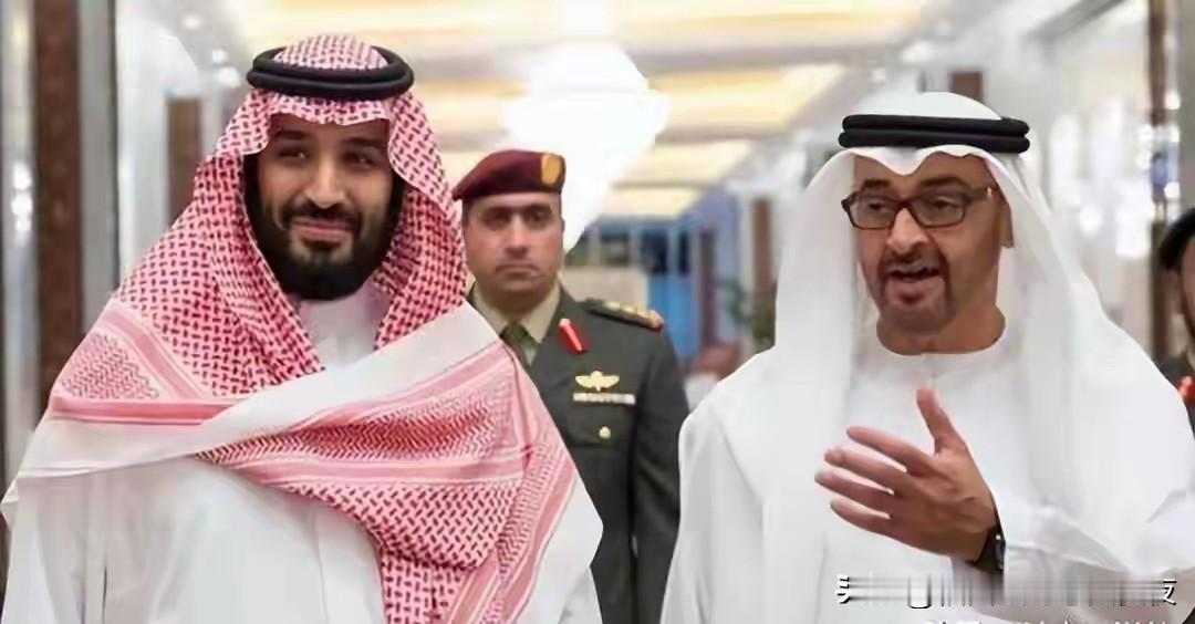 一个敢想，一个敢干！沙特再求中方，签上万亿大单，共创沙漠奇迹