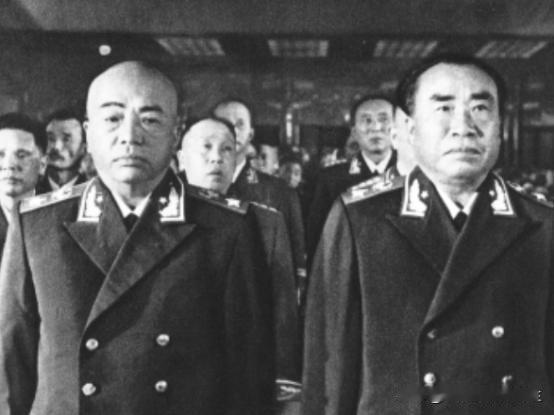 1955年彭德怀与彭绍辉因意见不合激烈争执，叶剑英目睹全程后直言真的令人无奈！