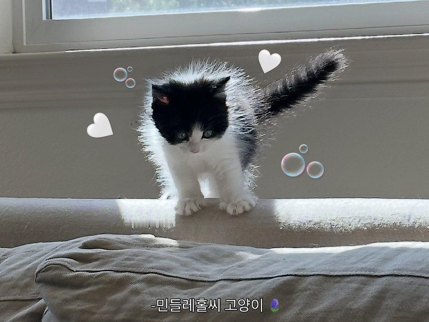 iPad 平板 电脑 壁纸 