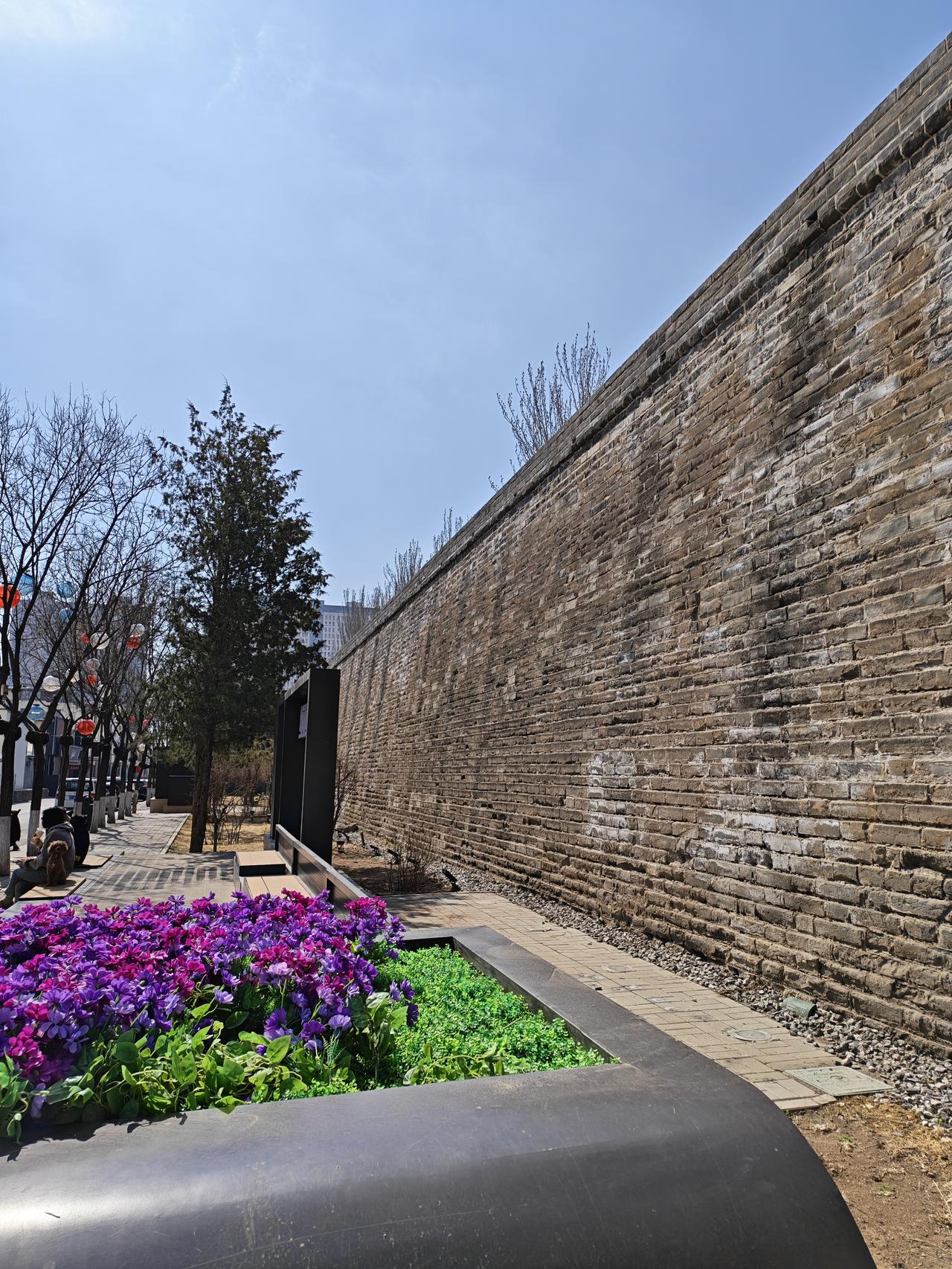 清明节放了三天假，孙子竟然没来我家。
假期第二天，我以为儿子一家会来，一大早就把