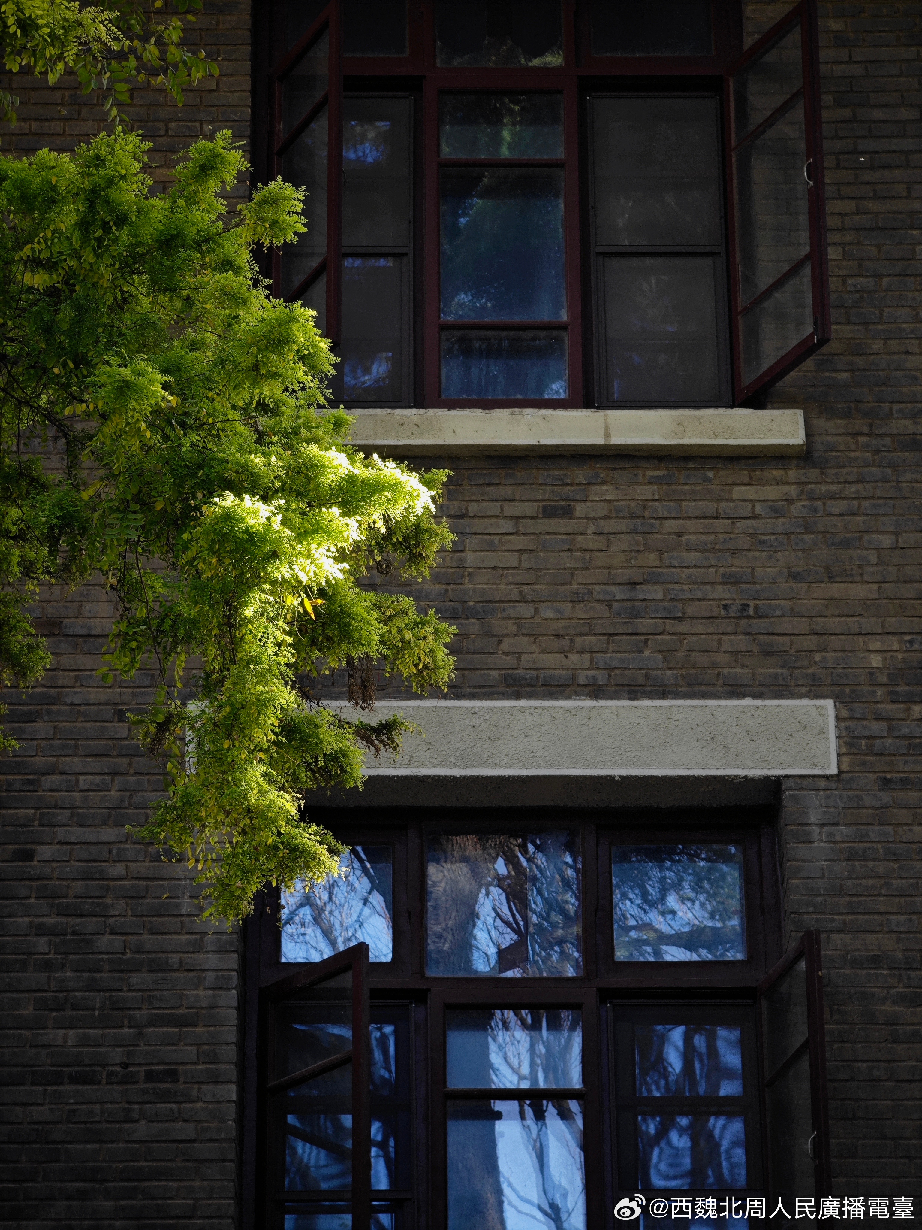 鸡笼山之阳 南京·鼓楼