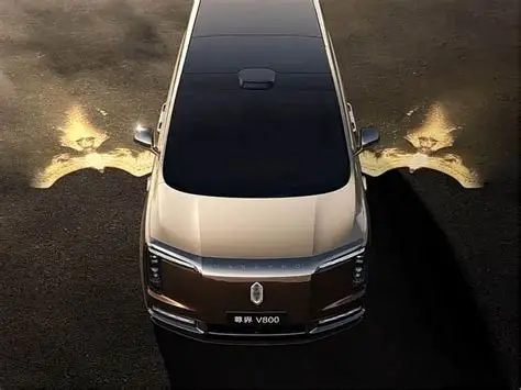 同价买埃尔法还是尊界V800 一个前麦弗逊后不知道是什么，一个前双叉臂后多连杆。