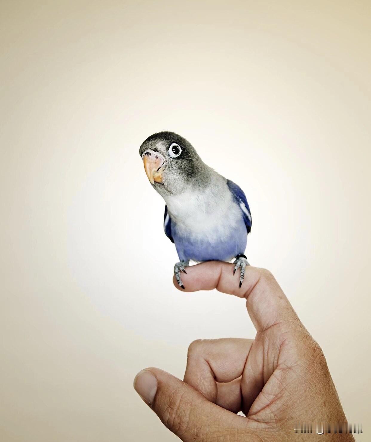 美军为美元而战！
人们都说，美国这个国家的强大，是由于有三大支柱——货币、科技、