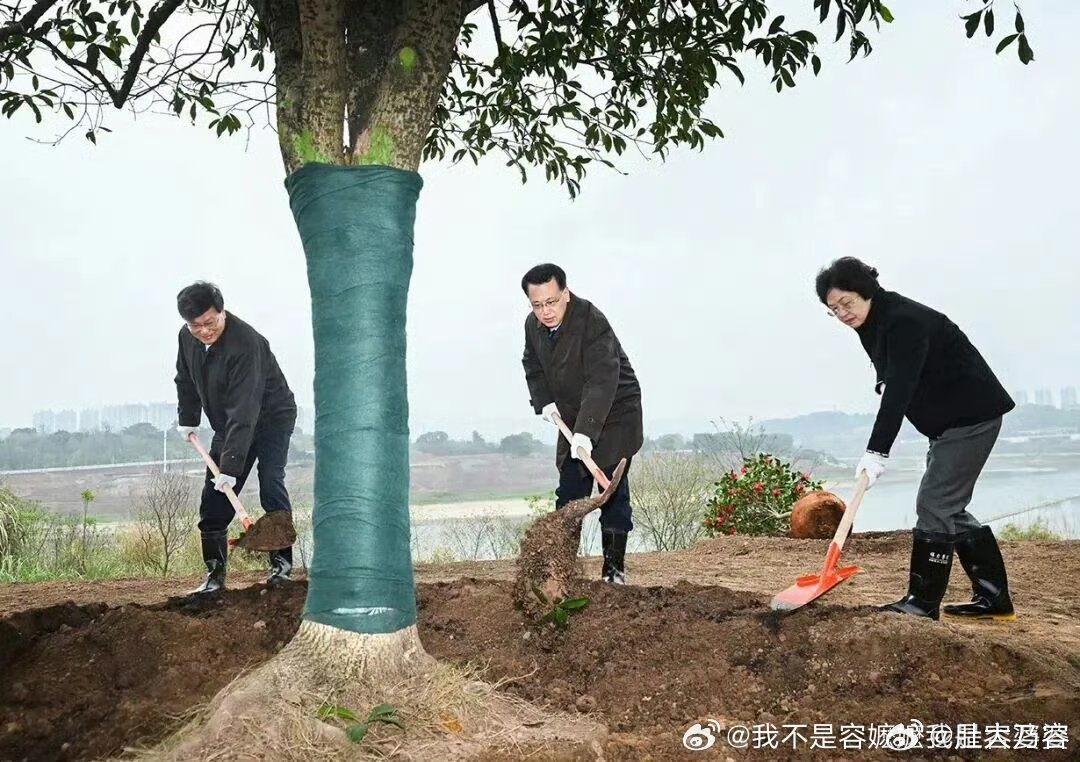 重庆市长胡衡华被查 四缺一，有网友发过来的图片。 