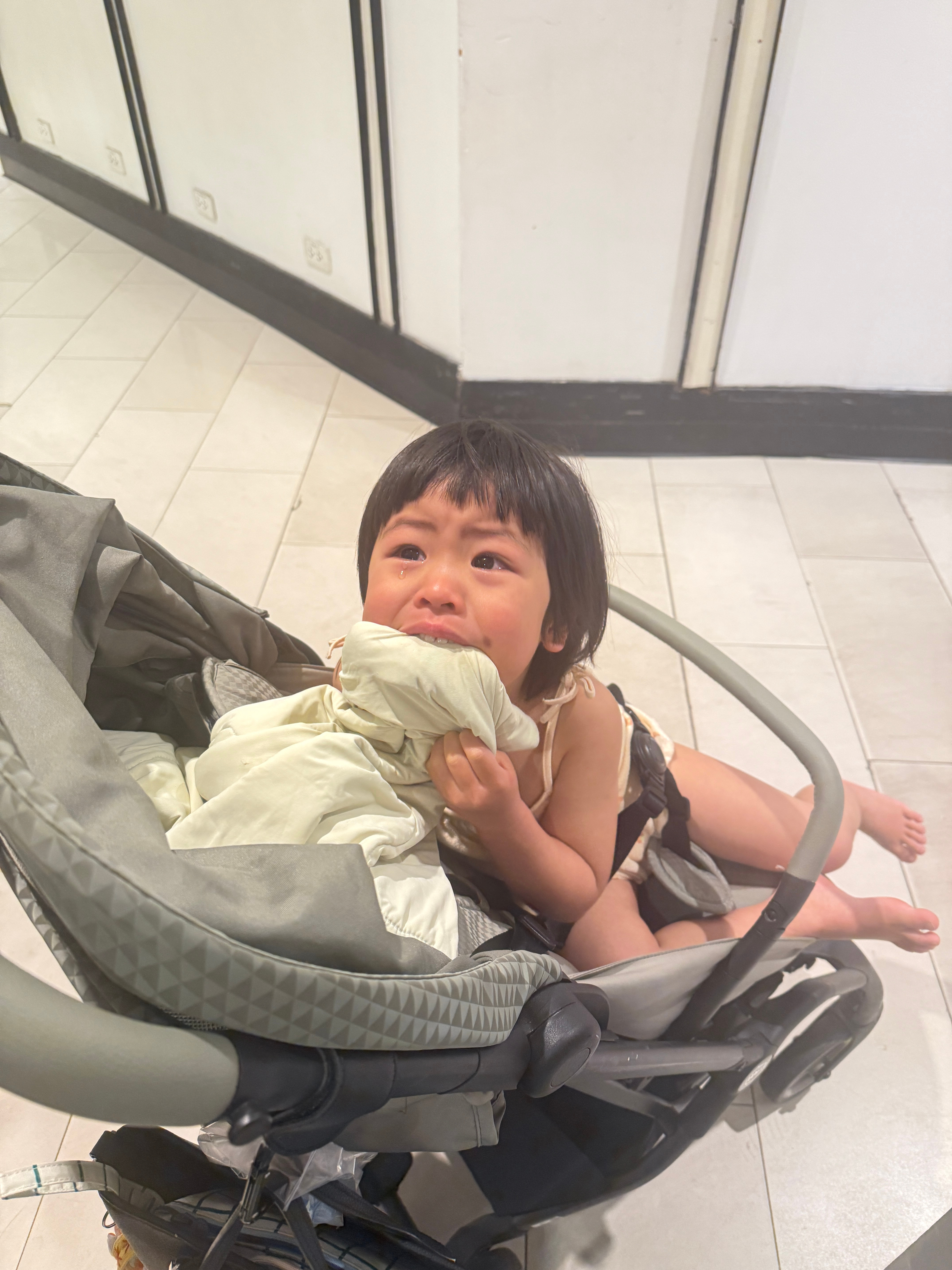 准备出发农场但是不小心路过了一个儿童乐园球宝闹着要玩，泪汪汪的对旅蛙说爸爸球球想