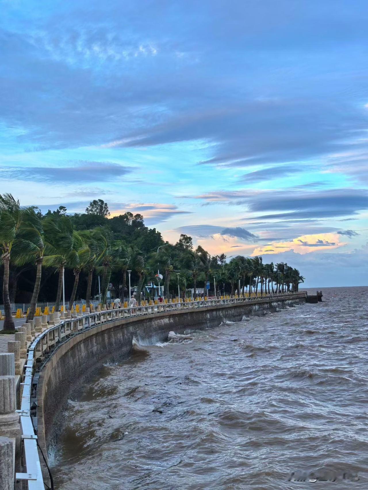 台风🌪过境后的城市-珠海

仅仅只是过境
但是，钢筋铁骨也低头了。