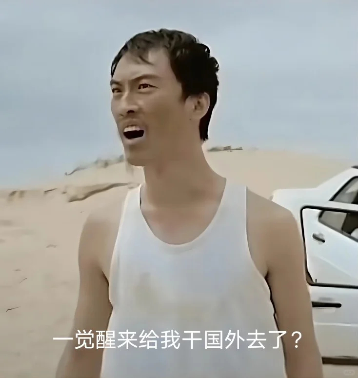 小红书连夜招聘英文内容审核员  外国网友上小红书秒切外教 一枚没好好学英语的回旋