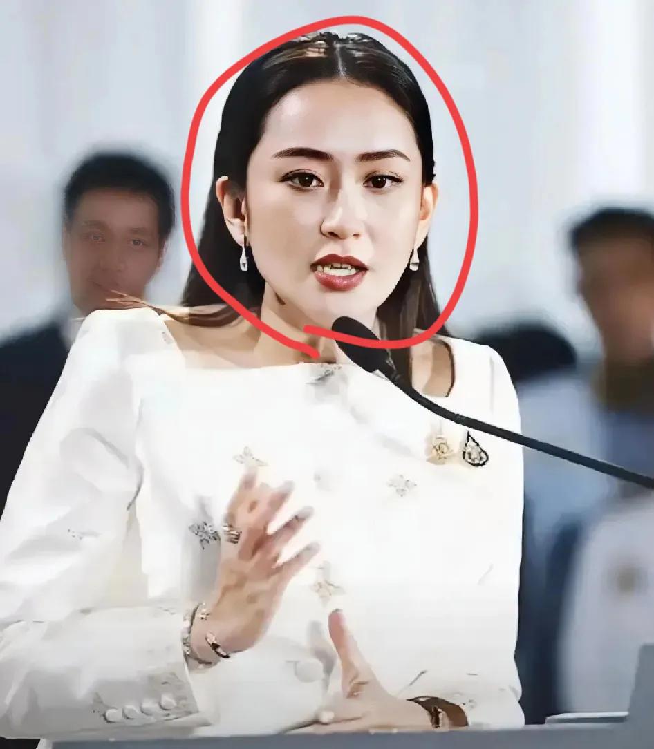 泰国连夜突然宣布了

7月26日，泰国文化部长佩通坦针对泰柬边境冲突再度发声，强