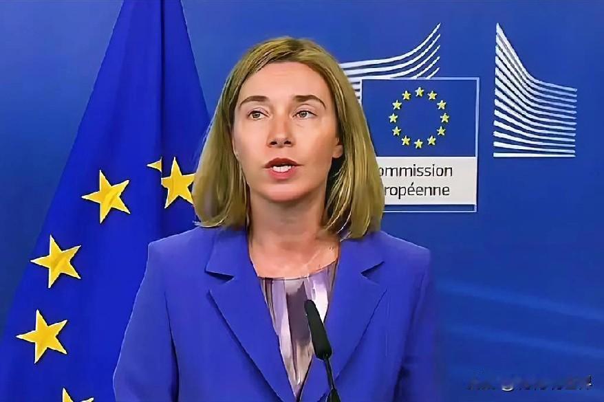 12月3日早上的最新消息，现在他来了，全都是大事，不容错过，第十条：比利时警方以