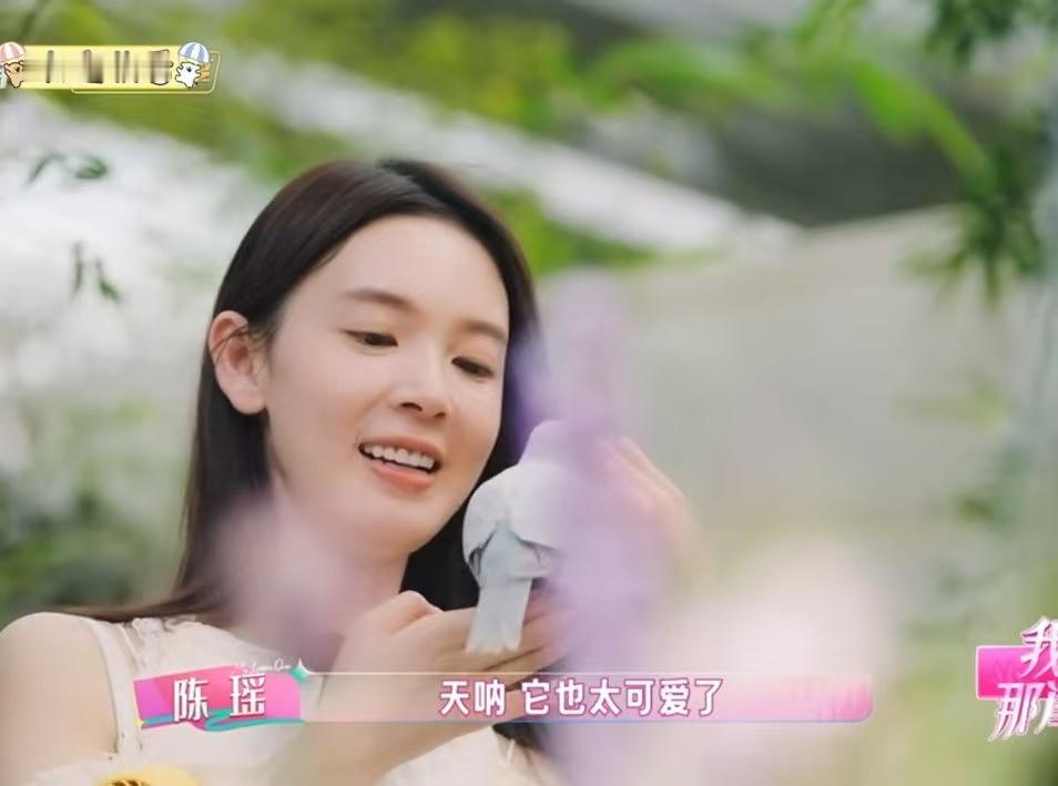 没有动物能拒绝陈瑶陈瑶完全御兽宗圣女我家那闺女温柔的气场自带吸引力，不管是黏人撒