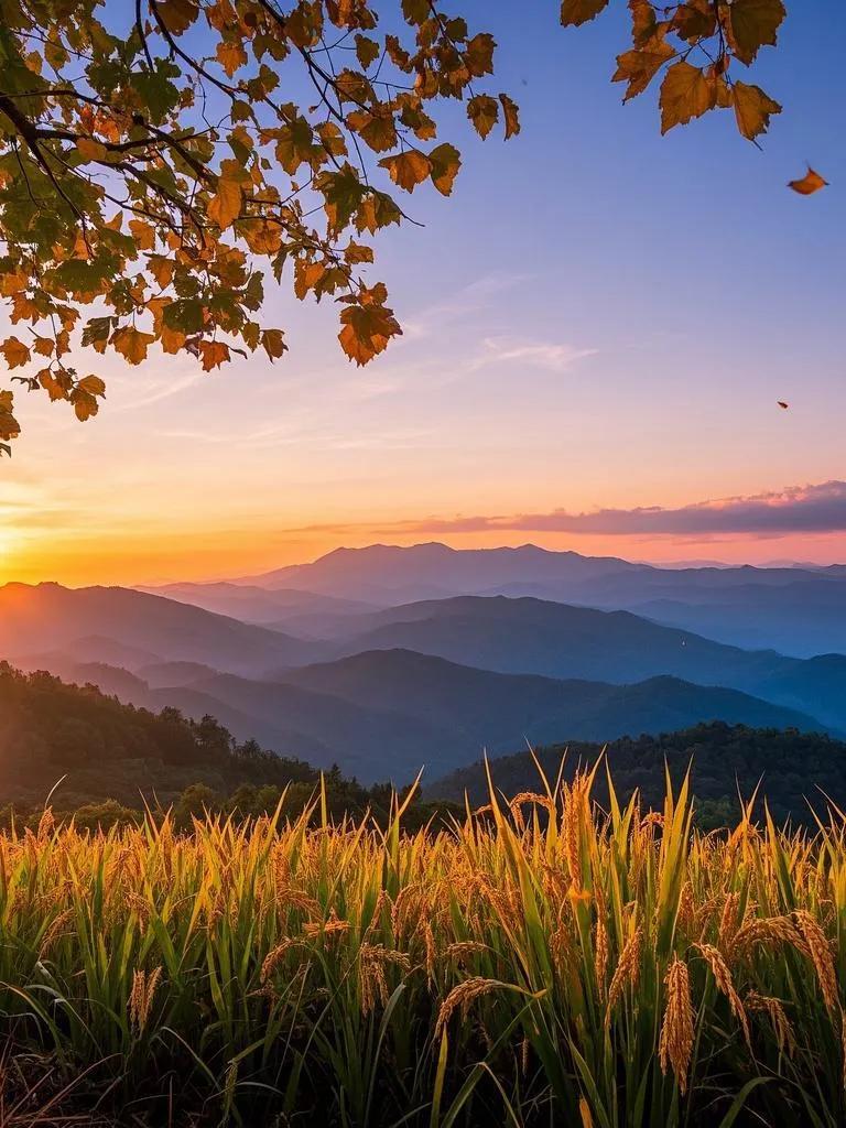 夕阳中落叶纷飞，稻穗低垂，斑斓山色与晚霞齐辉，仿若岁月的斑斓长卷。喜欢秋的日落 