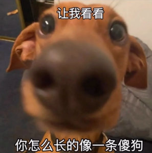 台风天气，宝爸让我约朋友出去玩，或者直接去朋友哪里，不知道是他脑壳有问题还是怎么