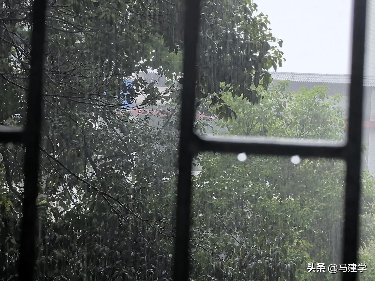 株洲的雨还有些恋恋不舍，这几天都在拼命的下，昨天还有几个地方都形成了和水和山体滑