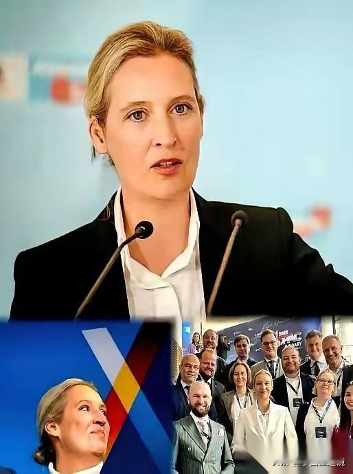 德国这场选举让某些人睡不着觉了吧！
  他们嘴里那个“极右翼”政党，那个天天被骂