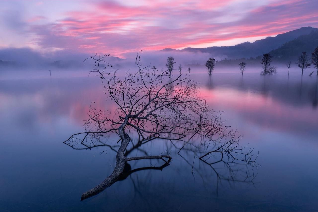 给年轻人的建议，两个人一定要有共同的价值观，志趣相投就更好了，而且收入也最好相近