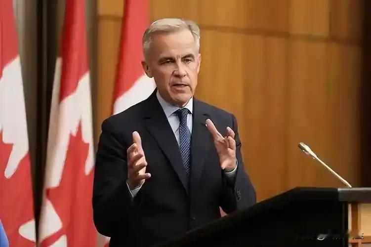 两名加拿大高级政府官员表示，面对
美国总统特朗普威胁试图吞并格陵兰，加拿大已制定