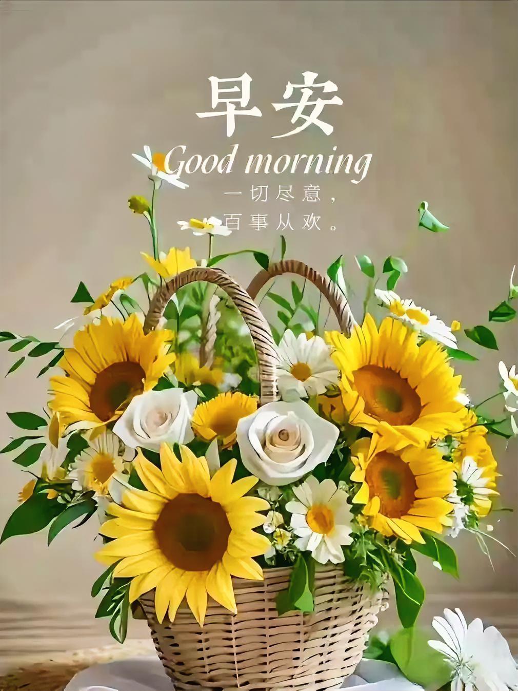 晨光问候暖心扉，岁岁安康常相伴，朝朝喜乐永相随。