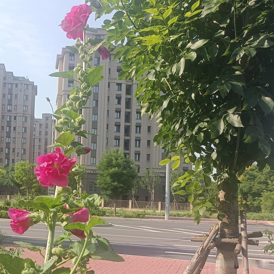 你身边有没有总炫耀自己孩子的人?生活里总能碰到一类人，三句话不离自家孩子，张口就