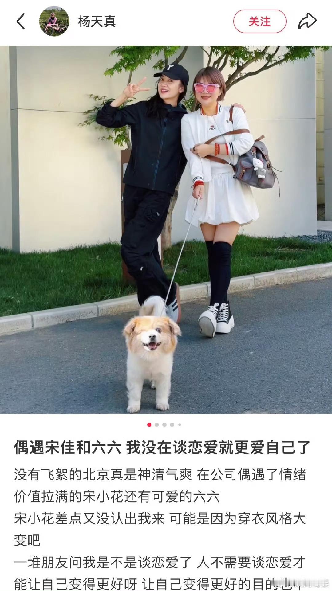 宋佳差点没认出杨天真宋佳带着六六现身，直接把氛围拉满！有趣的是，宋小花愣是没第一