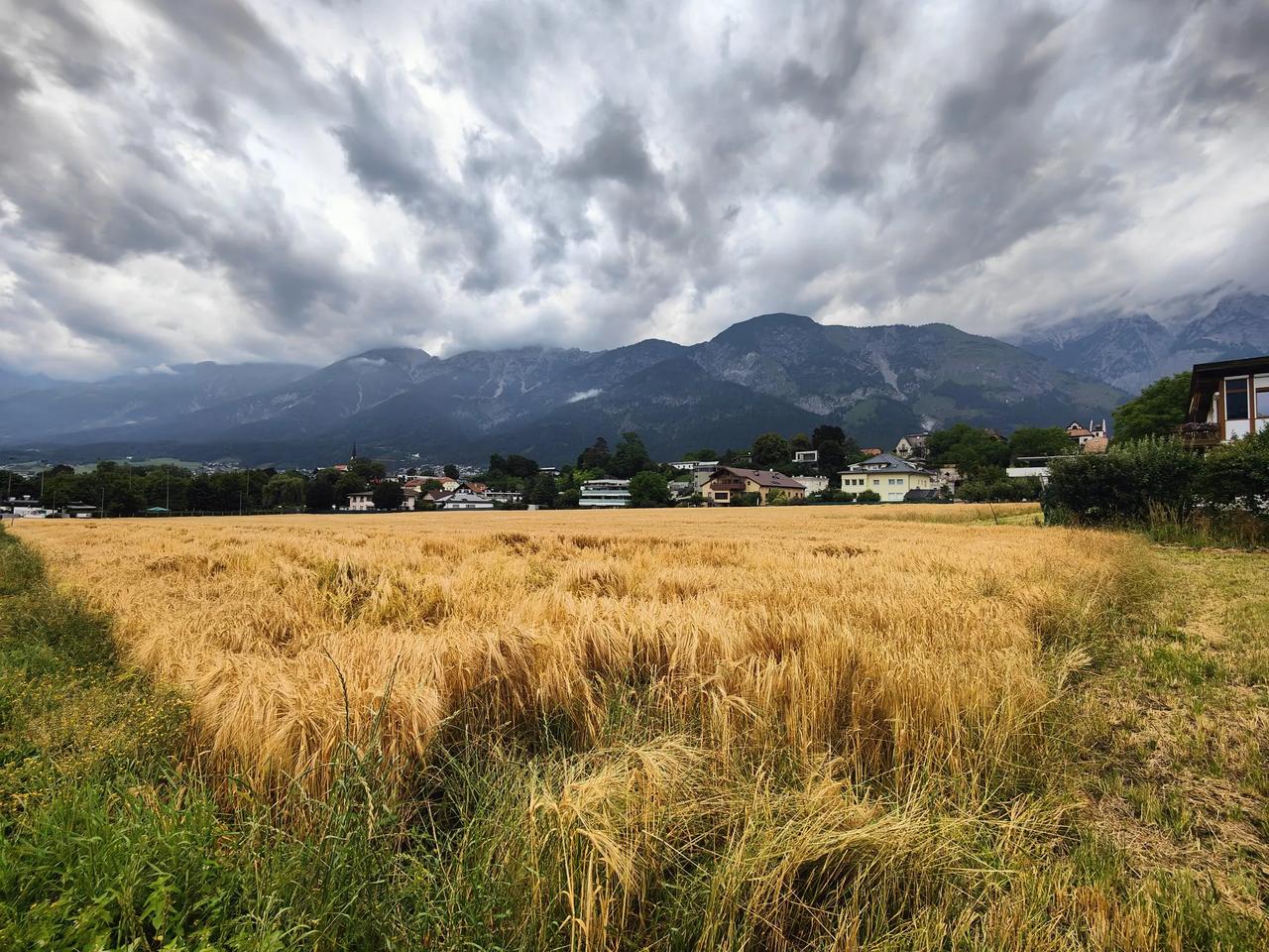漫步在阿尔卑斯山下

清晨，在阿尔卑斯山下的小镇步行一小时。
空气清新，鸟语花香