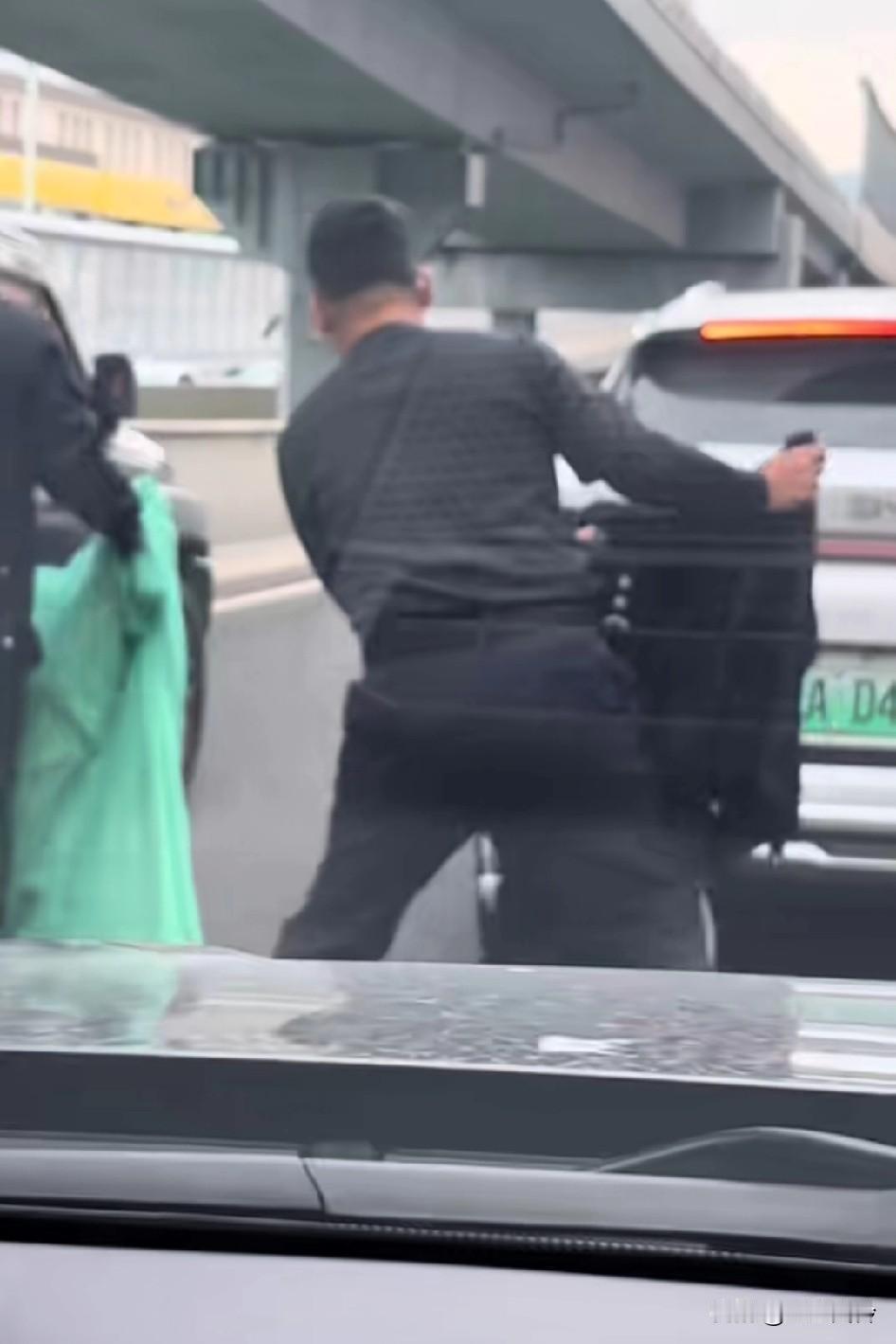 小柯基高架桥上被抓捕全过程，它伸舌头在挑衅，这是基动车道，凭啥抓我，略略略
越追