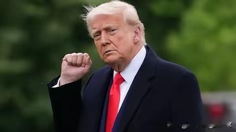 “特朗普很满意”：媒体获悉柏林谈判的细节！


​12月15日，天空新闻和《卫报