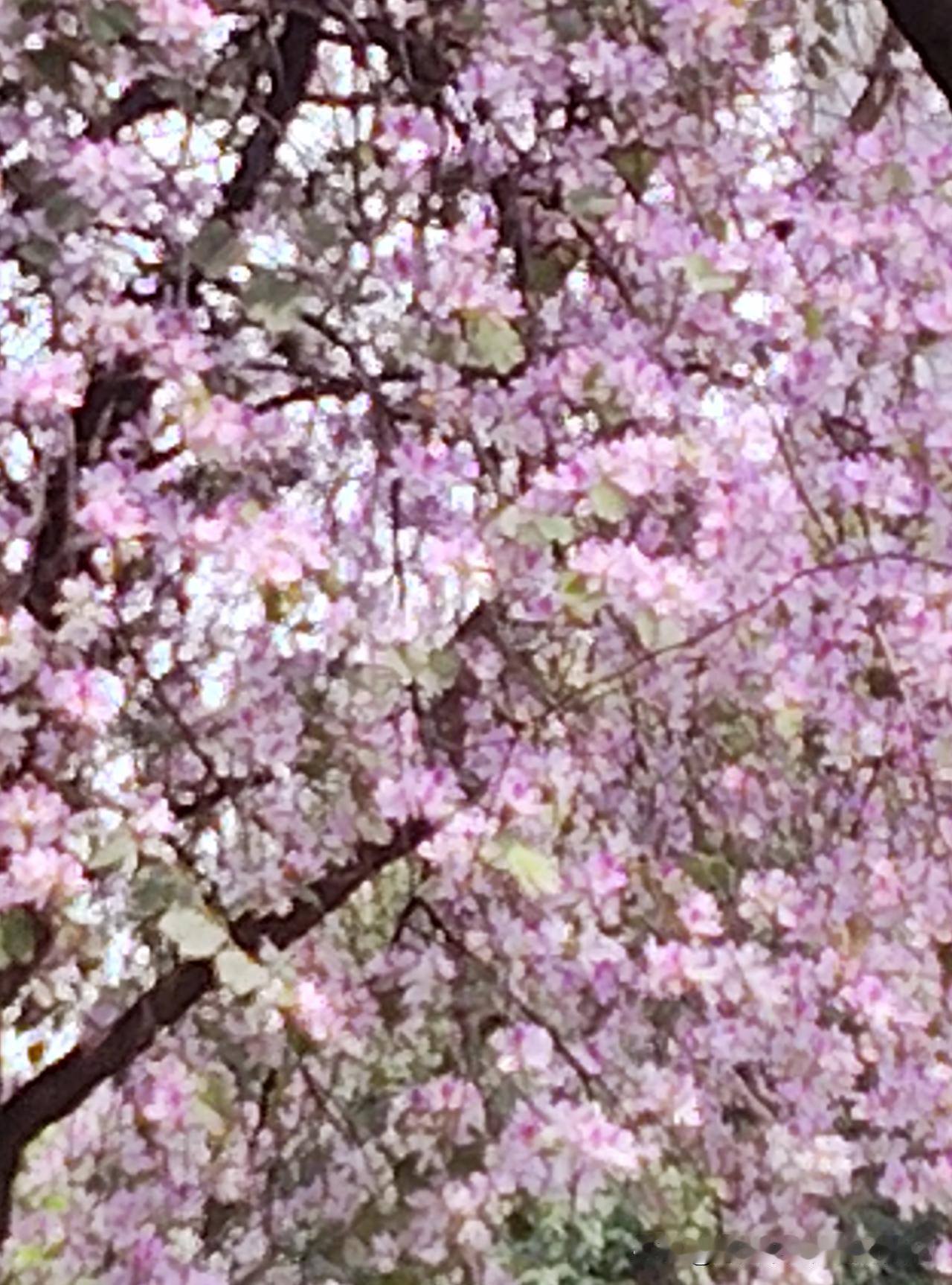 太气了，刚听一位师友说她被一平台乱偷钱的事情，气不打一处来。

听她这么一说，我