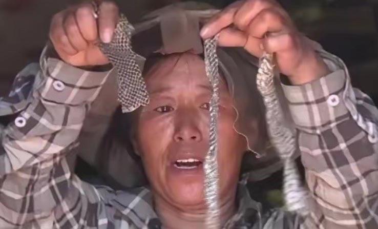 2006年，黑龙江一女子睡觉时，一条大蛇钻进了她的被窝，女子心软没把它赶走，没想