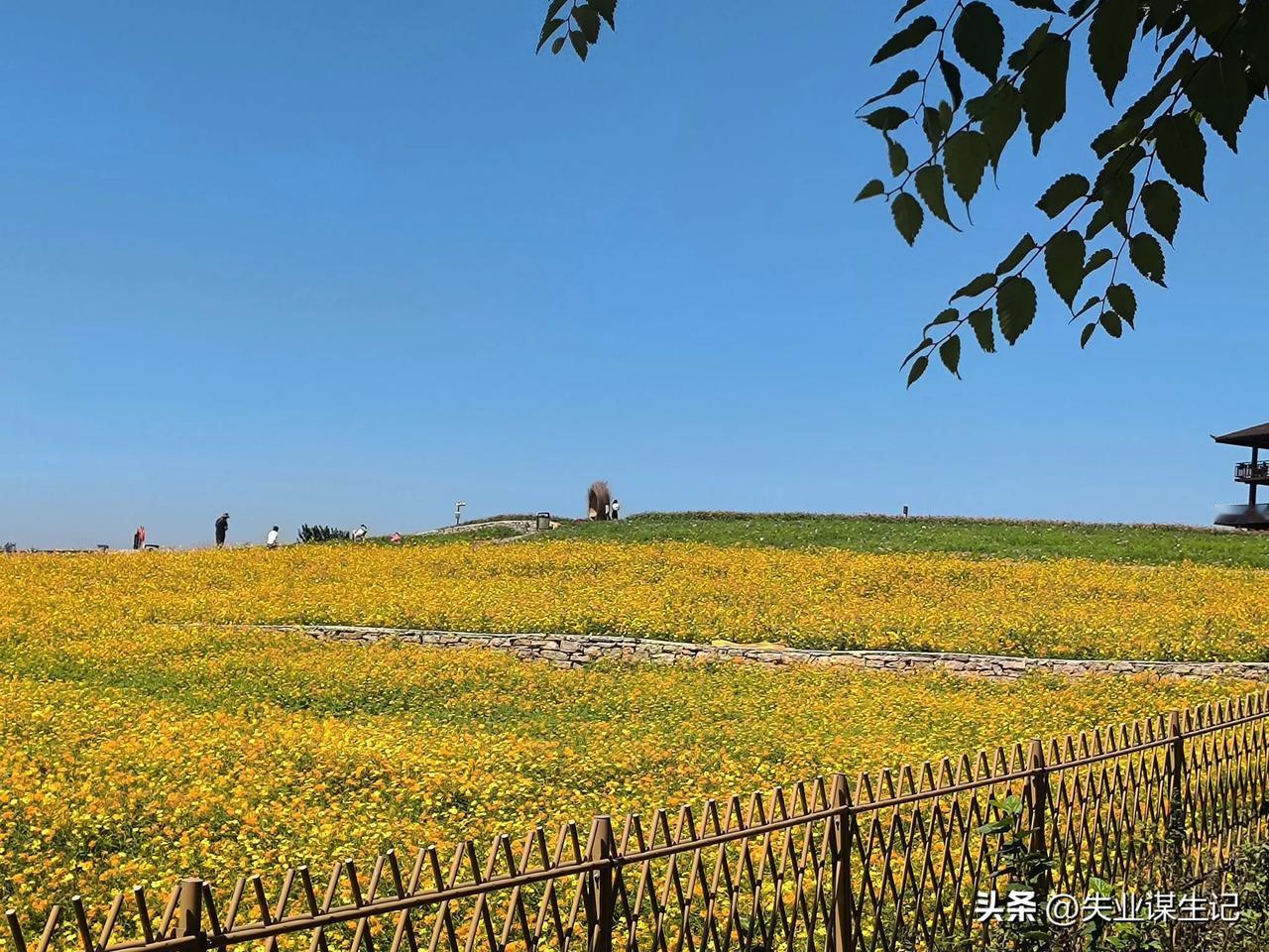 徐州吕梁花海，位于徐州市区东南侧吕梁风景区。
毗邻园博园，小而精致，是近几年声名