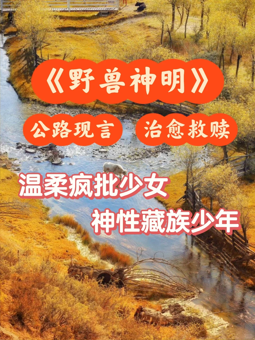 双向暗恋❗️生病的妈、去世的爸、破碎的她和他