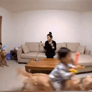 妈妈看到几个娃娃骑着狗进屋后，有点怀疑自己的眼睛了。
你说！这几个娃娃怎么说服狗