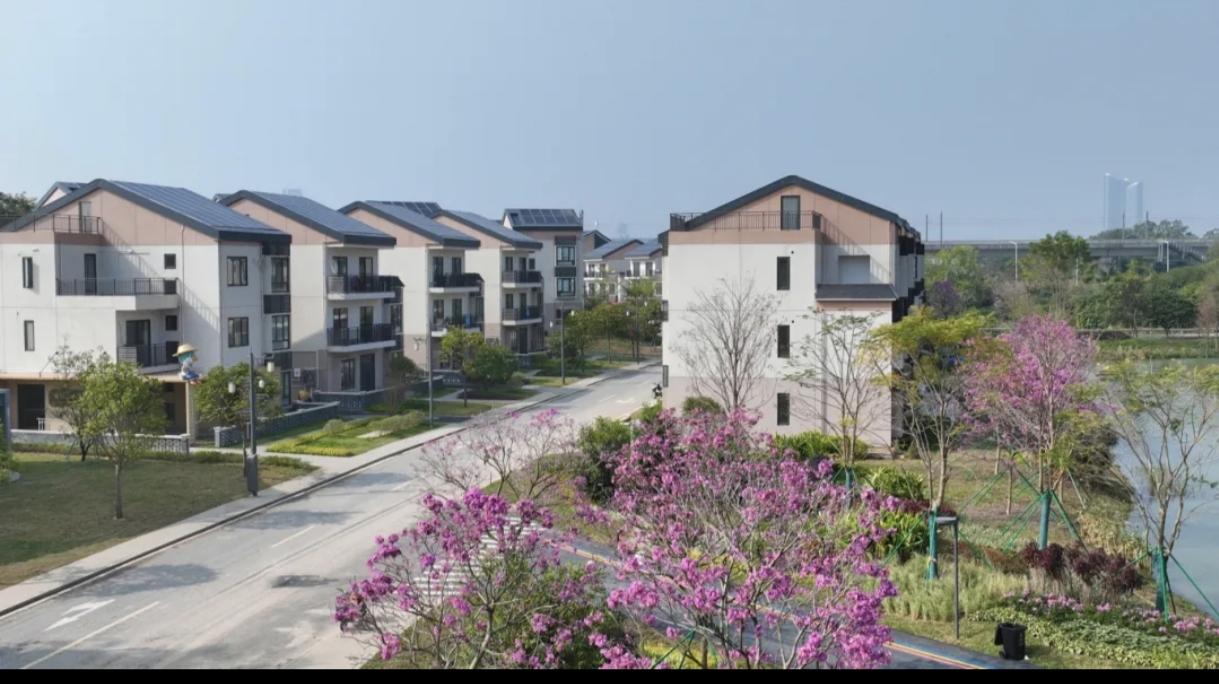 黄埔区搞城中村改造，最好的一条村出现了！村民的回迁房都是别墅，不用搬到高楼大厦和