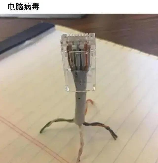 📌啊？这就是计算机蠕虫病毒…
净化网络环境 网络安全 科技数码howto 电脑
