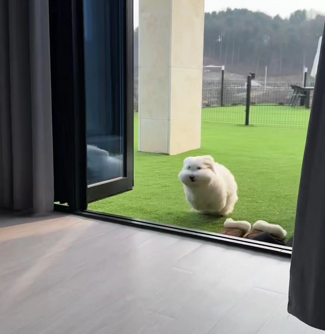 无论好的坏的，让我们越过2024，奔向2025！ 