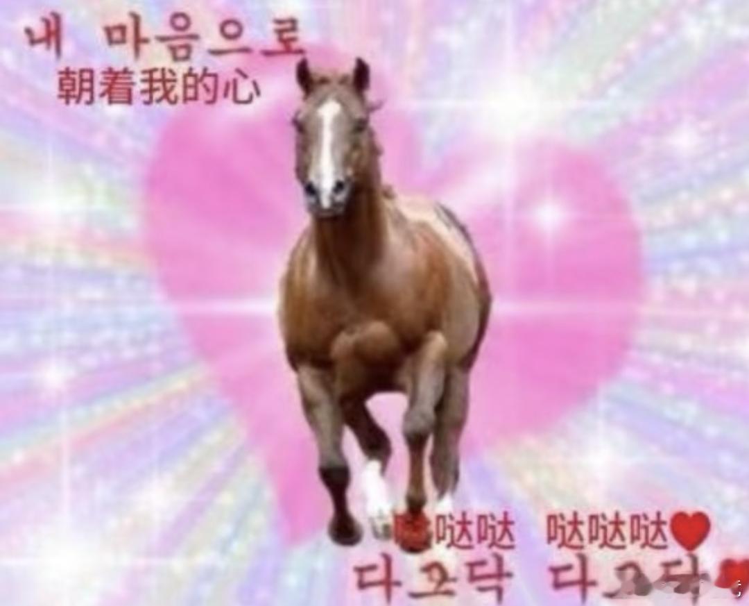 玩加夜话 2026年大家的新年愿望都是什么呢？新年贺词英雄联盟 英雄联盟