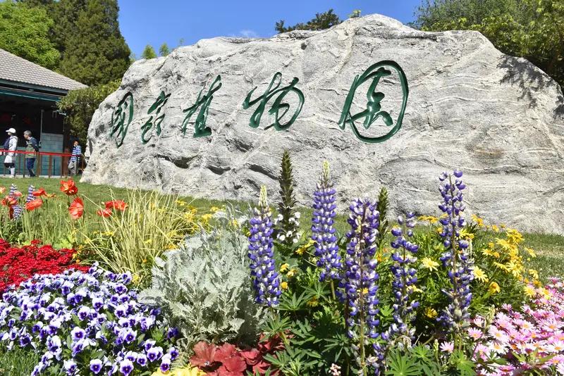国家植物园简直是花的天堂！3月2日雨后的北京国家植物园南园，花香弥漫，大家都在拍