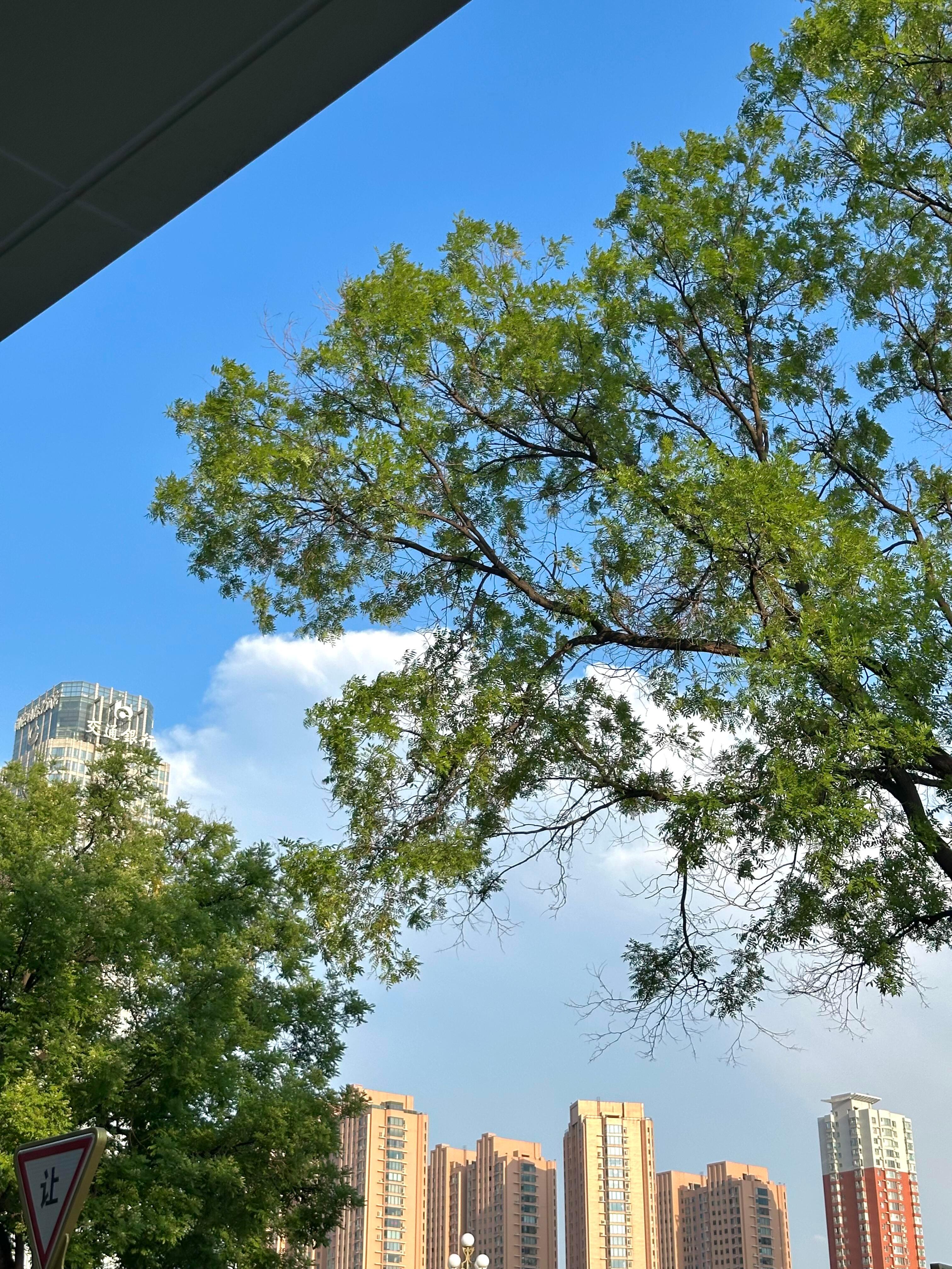 📍 快乐星球分部｜今日营业中🛸 