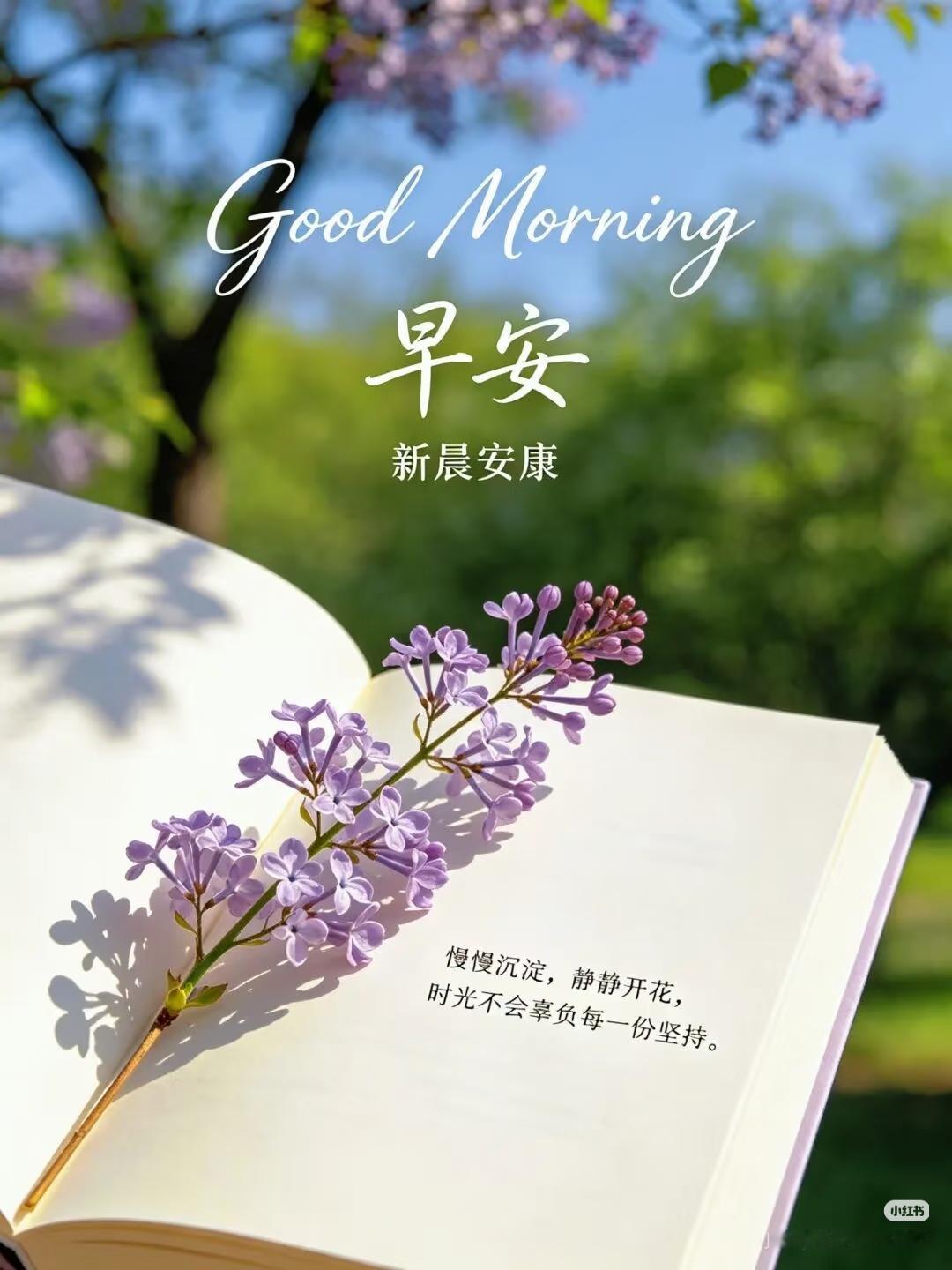早上好！新的一周已然开启，愿诸位都能怀揣一份好心情，热情拥抱生活！
闲暇之时，不