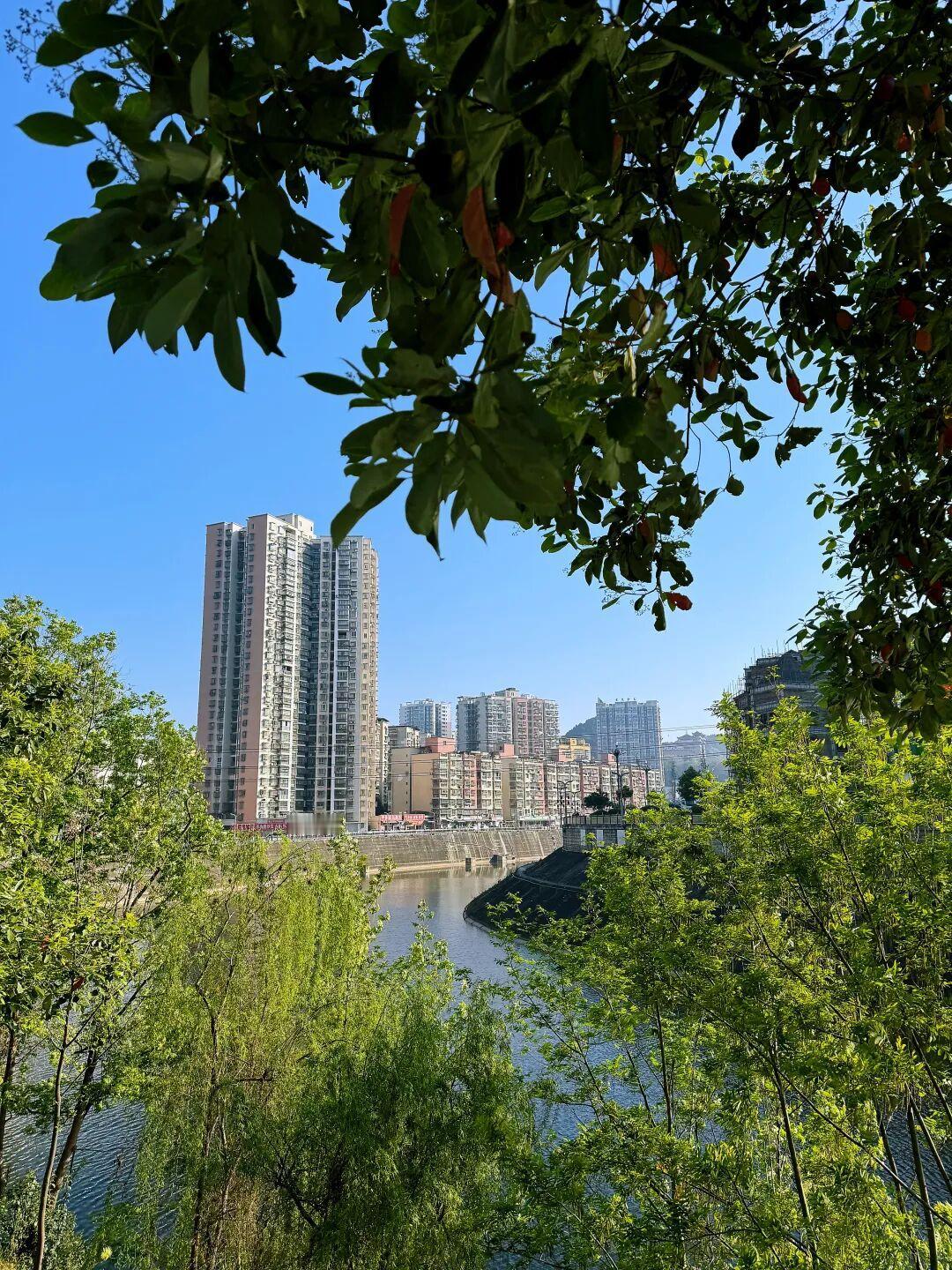 盐亭县第十一届委员会第六次会议于2026年4月20日下午至4月22日上午在盐亭县