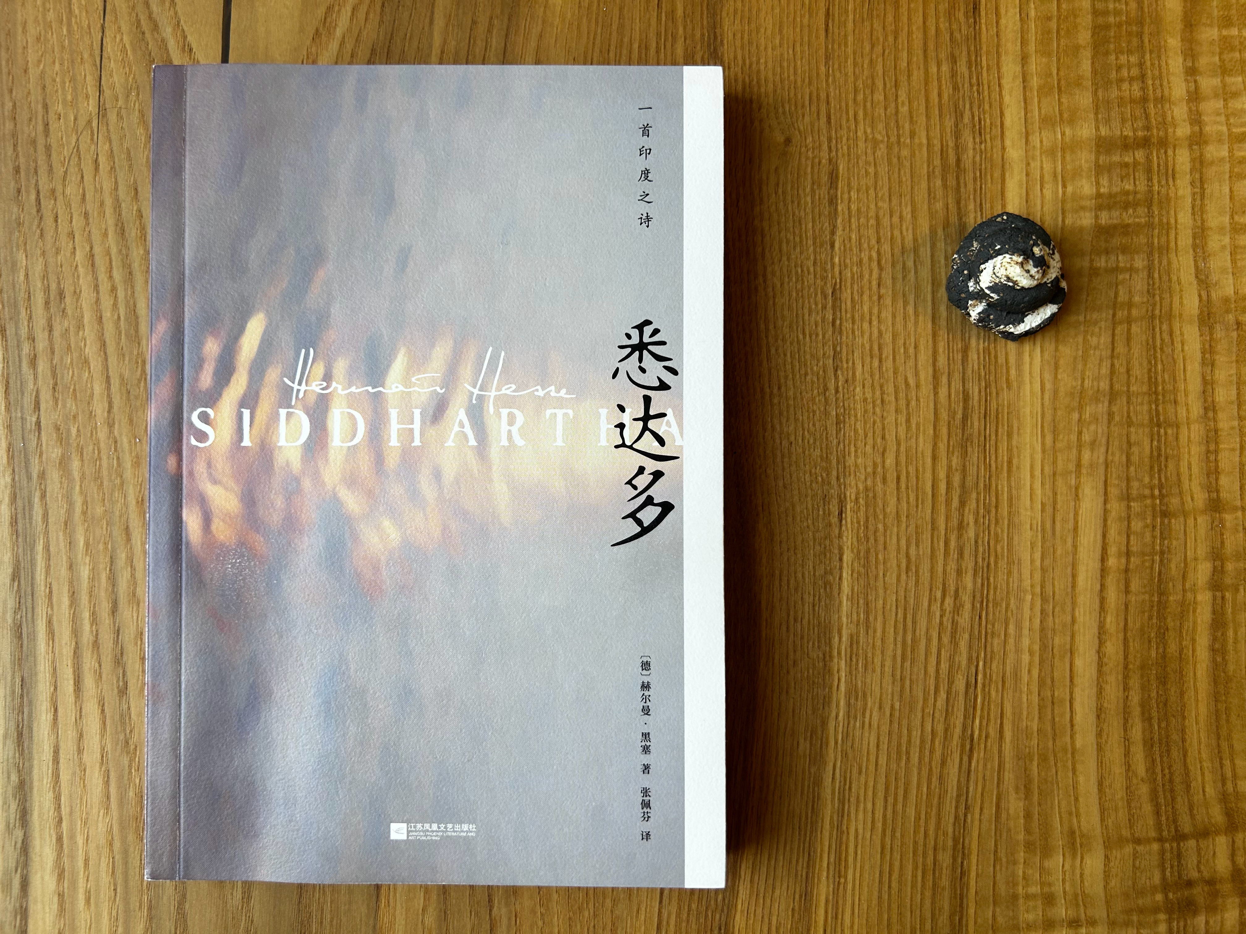 读过赫尔曼·黑塞《悉达多》（2020全新修订译本）：他追寻的道是什么，其实就是如