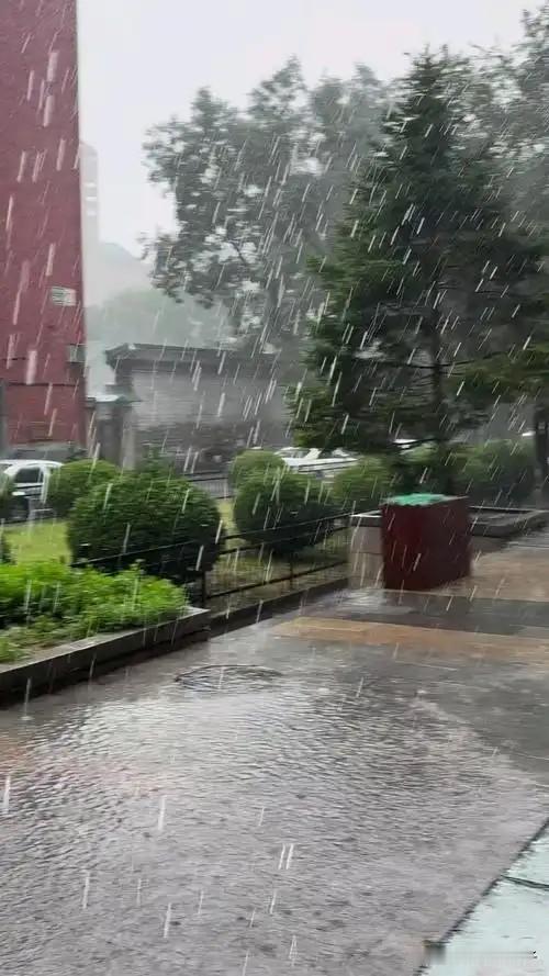 清晨七点，大雨如期洒落北京城。

连日萦绕的暑热被清凉雨水慢慢冲刷消散，闷热的空