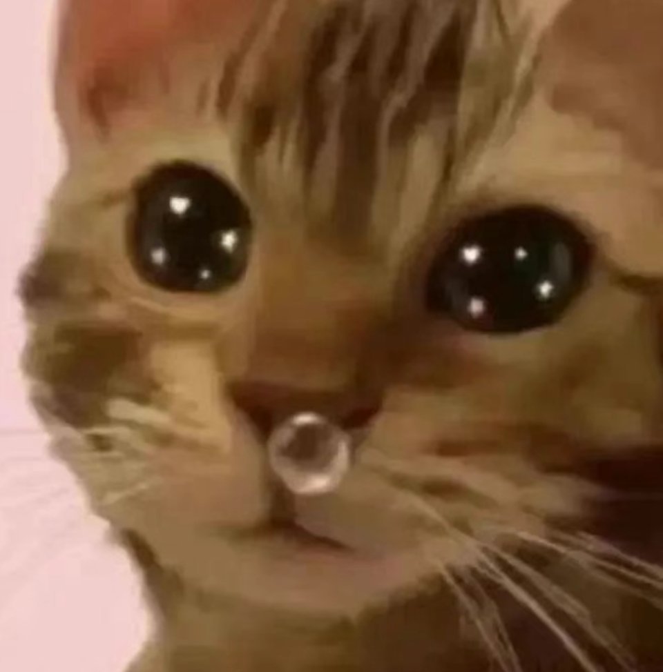我头好痛 