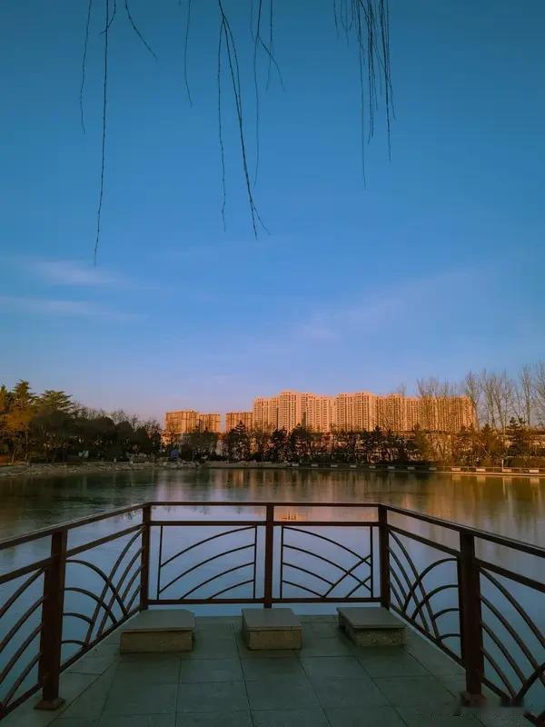 家人们，公园湖边的美景真的太适合随手一拍啦！我之前去公园，就靠着几个拍照小技巧，