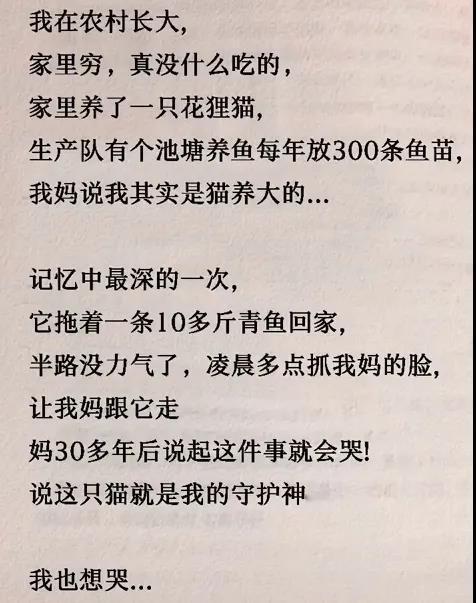 有时猫狗比人灵性！