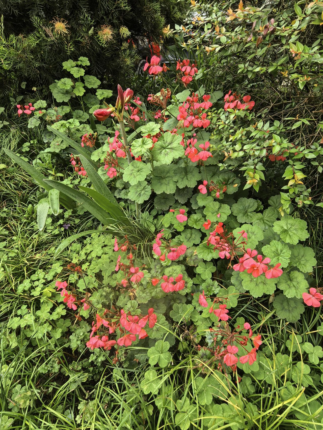 协鑫集成A股今日走势情况及展望

一、今日行情概览

协鑫集成今日开盘4.68元