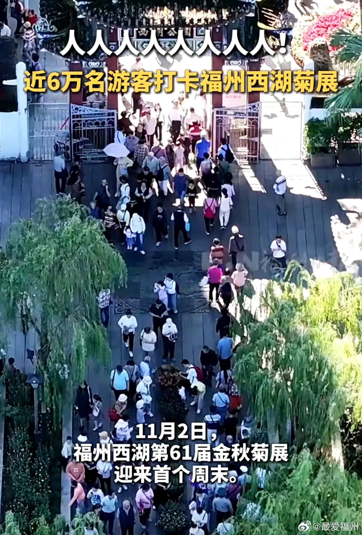 6万人！11月2日，福州西湖第61届金秋菊展迎来首个周末，吸引了近6万名游客打卡